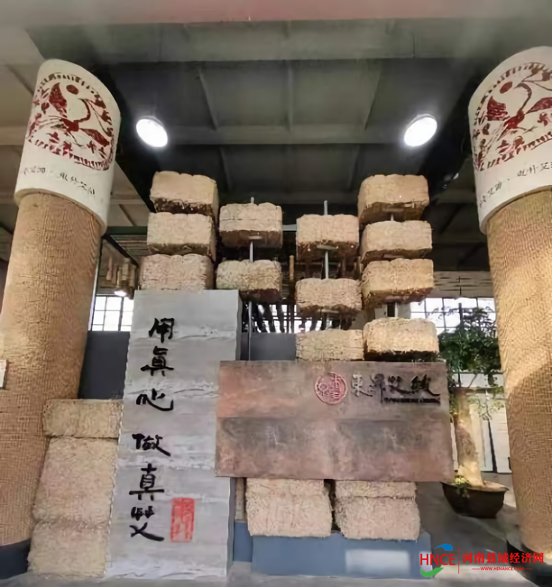 圖片5 (1)